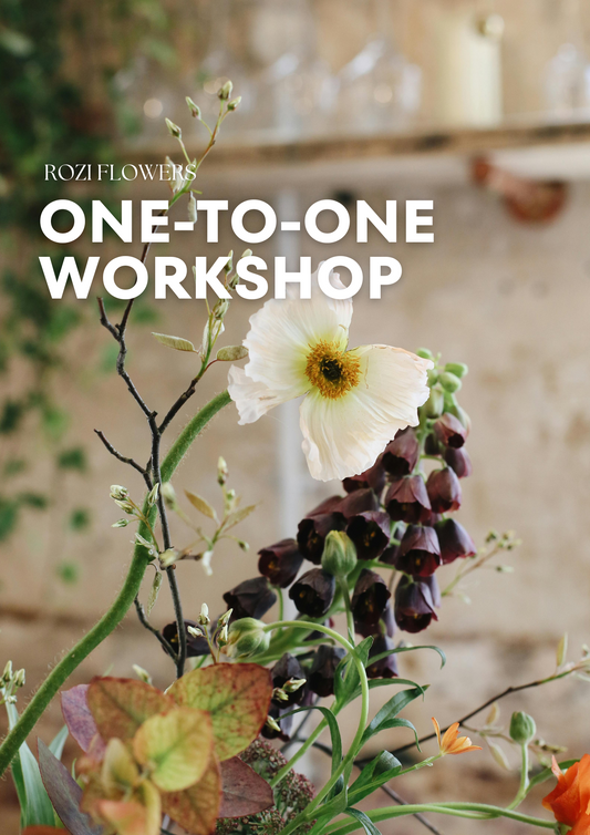 One-on-One Workshop